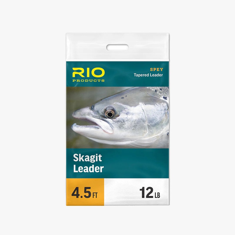 RIO Skagit Leader