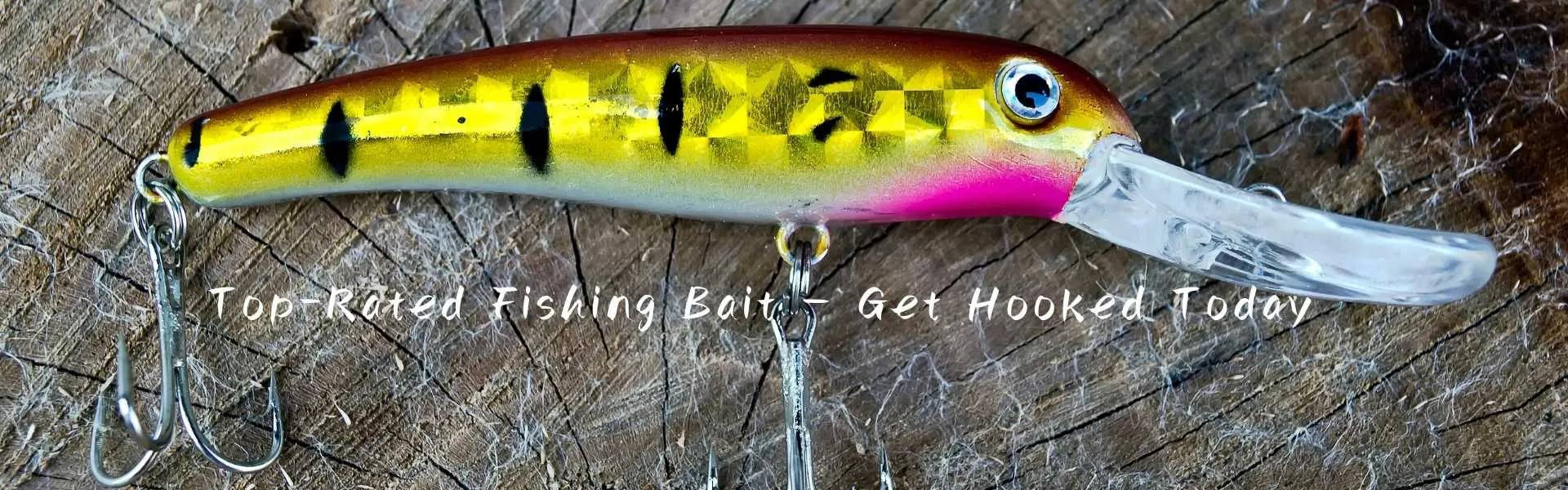 Top Fishing Baits in Wisconsin – Freshwater & Saltwater Lures for Serious Anglers